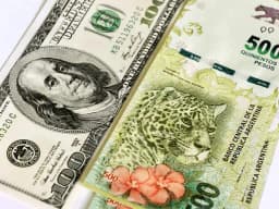Will the official USD to ARS exchange rate be between 1460.00 and 1479.99 at the end of January 2026?