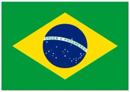 Brazil wins Copa America 2024?