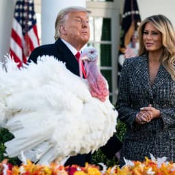 Will Trump say "Crypto" or "Bitcoin" at the Turkey Pardon on Tuesday?