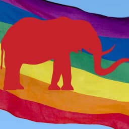Will any Republican congressman come out as gay before March?