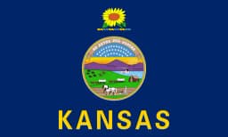Will Damon Anderson be the Democratic nominee for Senate in Kansas?