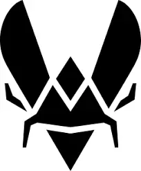 Will Team Vitality Make a Roster Change before September?