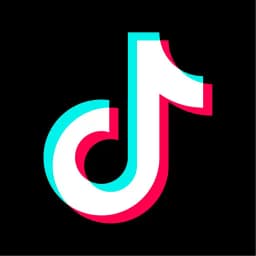 Will Larry Ellison/Oracle acquire TikTok?
