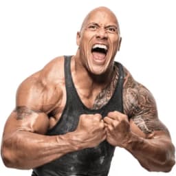 Will Dwayne 'The Rock' Johnson be the 2028 Democratic Vice-Presidential nominee?