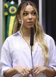 Will Erika Hilton win the 2026 São Paulo gubernatorial election?