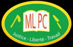 Will the Movement for the Liberation of the Central African People win the most seats in the 2025 Central African Republic National Assembly election?