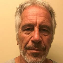 Jeffrey Epstein foul play confirmed by December 31, 2026?