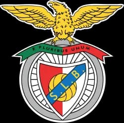 Will Manager D be the next manager of Benfica?