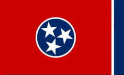 Will London Lamar be the Democratic Nominee for TN-09?
