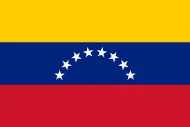 Venezuela election scheduled by December 31, 2026?