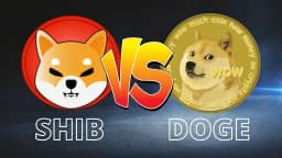 Which cryptocurrency will have higher market cap on November 4th: $DOGE or $SHIB?