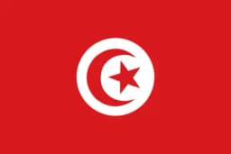 Will Tunisia win the 2026 FIFA World Cup?